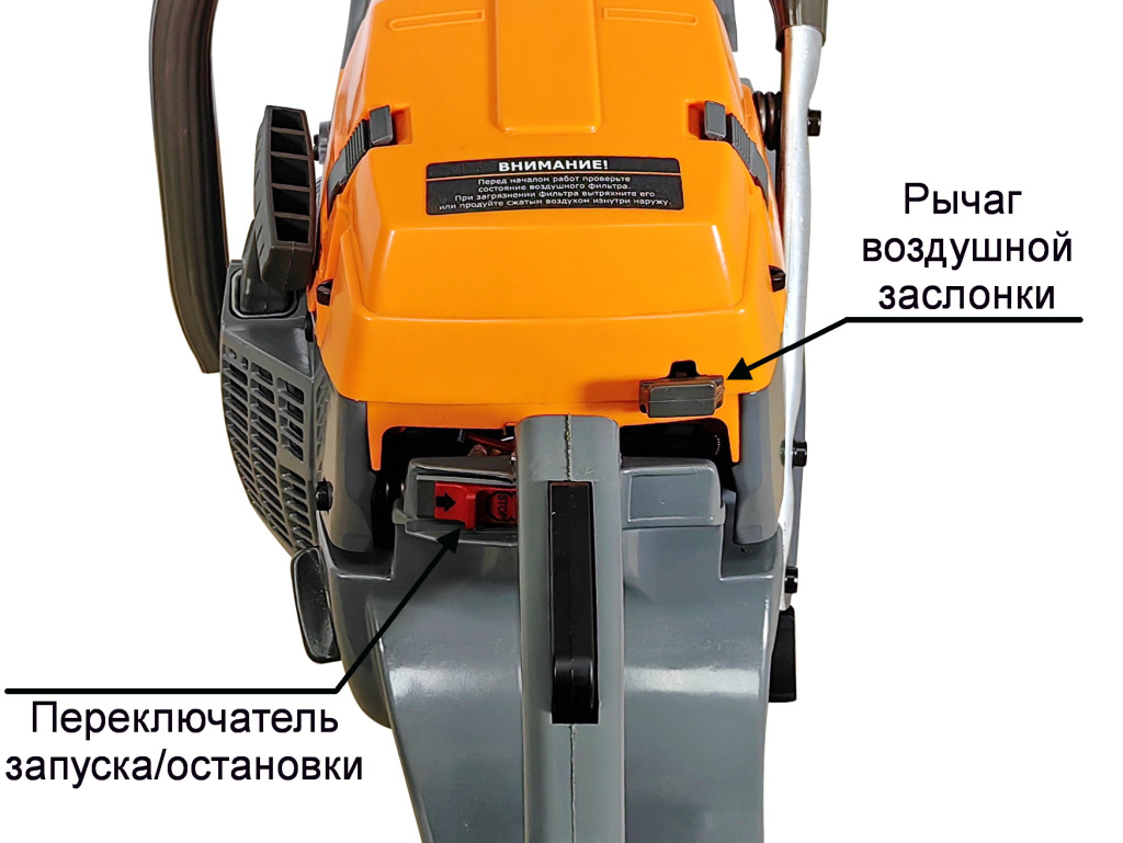 Органы 365.jpg