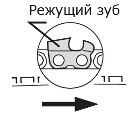 Ввод 5.jpg